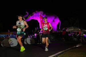 BIB: 
                            <button type="button" onclick="openModal(26544078)" class="btn btn-primary btn-sm float-right btn-popup" data-toggle="modal" data-target=".modal-high-quality">
                        <i class="fas fa-shopping-cart"></i> Add to Cart
                    </button>
                                            <button type="button" onclick="isThisMe(26544078, true)" class="btn btn-success btn-sm float-right btn-popup btn-isme hidden" data-toggle="tooltip" data-placement="bottom" title="นี่คือรูปของคุณใช่ไหม คลิกที่นี่เพื่อเอาเข้าอัลบั้ม">
                        <i class="fas fa-plus"></i> Add to album
                    </button>
                    <button type="button" onclick="isThisMe(26544078, false)" class="btn btn-warning btn-sm float-right btn-popup btn-isnotme hidden">
                        <i class="fas fa-ban"></i> Remove from album
                    </button>